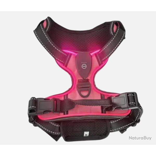 Harnais Lumineux LED Rechargeable pour Chien - Sans Traction, Rglable & Confort Rose