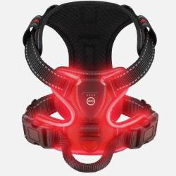Harnais Lumineux LED Rechargeable pour Chien - Sans Traction, Réglable & Confort Rouge