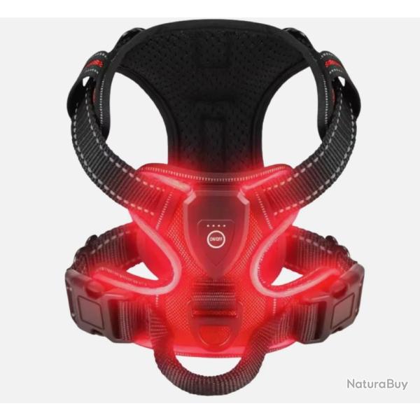Harnais Lumineux LED Rechargeable pour Chien - Sans Traction, Rglable & Confort Rouge