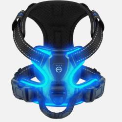 Harnais Lumineux LED Rechargeable pour Chien - Sans Traction, Réglable & Confort Bleu