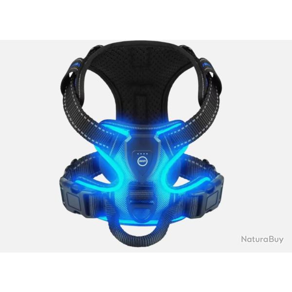 Harnais Lumineux LED Rechargeable pour Chien - Sans Traction, Rglable & Confort Bleu