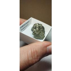 Fossile minéraux pierre précieuse pyrite Pérou collection minéralogie objet de curiosité diamant or