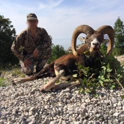 La chasse du mouflon en Croatie avec un Monde de Chasse
