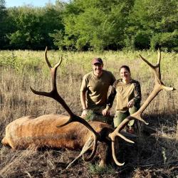 La chasse du cerf en Hongrie