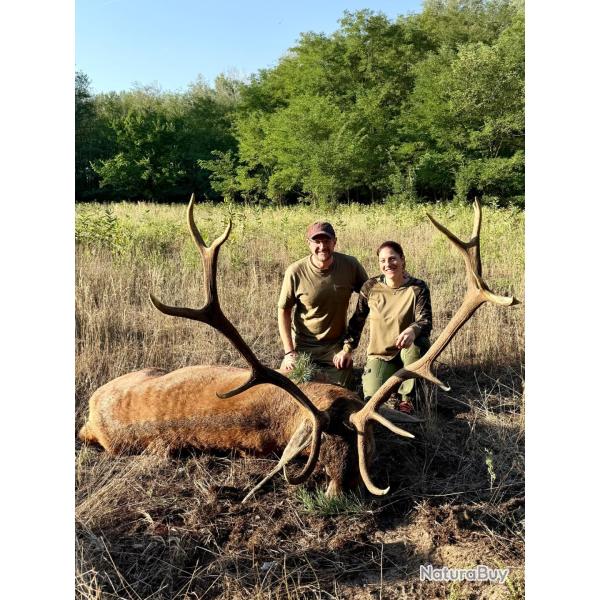 La chasse du cerf en Hongrie