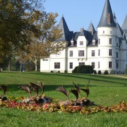 La chasse du daim en Hongrie