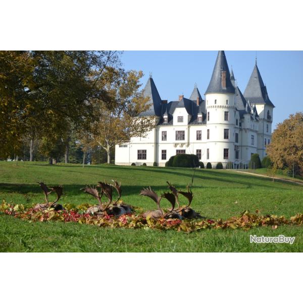 La chasse du daim en Hongrie