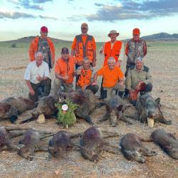 La chasse du sanglier en Tunisie