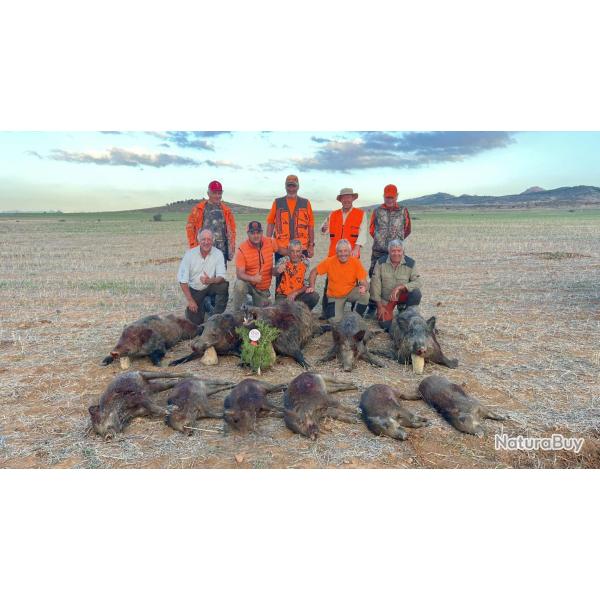 La chasse du sanglier en Tunisie