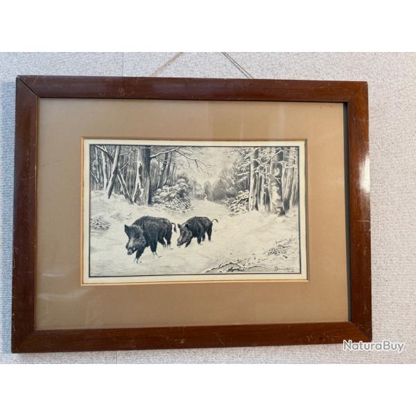 GRAVURE DE SANGLIERS EN FORET - BOULET - 1925 - CHASSE