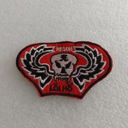 Patch arm&eacute;e us RECONNAISSANCE TEAM LOI.HO ORIGINAL