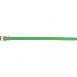 Collier HELEN BAUD BIOTHANE BETA VERT 450mm x 19mm x2.6mm