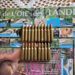 Vends 19 balles winchester 222 super