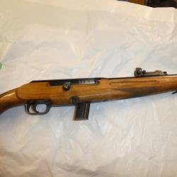 carabine semi auto REINA 450 cal 22lr