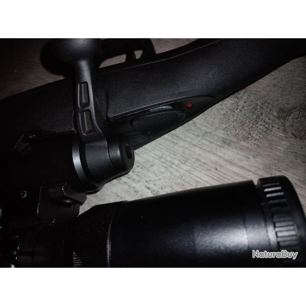 Carabine calibre 22-250 rem