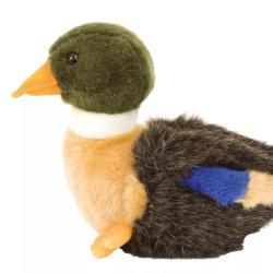 Peluche colvert ANIMA