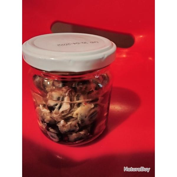 Taxidermie oeil faisan perdrix rouge