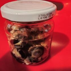 Taxidermie oeil de lapin