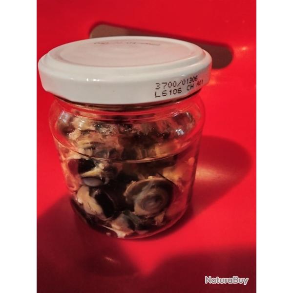 Taxidermie oeil de lapin