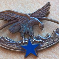 Insigne brevet chasseur alpin