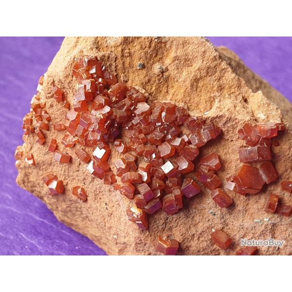 Tr�s belle Vanadinite du Maroc avec cristaux bien form�s longueur 5 cm