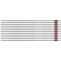 Fl&egrave;che Avalon Tyro 4.2 en carbone (nouvelles) 29" 900 1 plume rouge 2 plumes noires