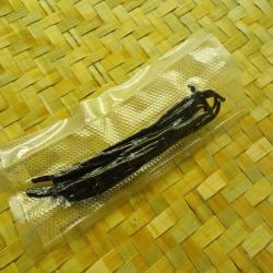 10 petites gousse de vanille