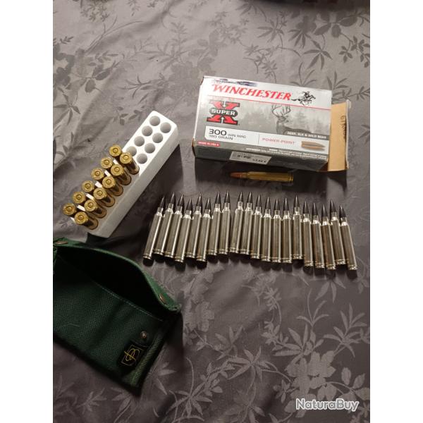 Balles Winchester power-point et Winchester accubond ct