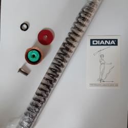DIANA 35 50 Kit renovation RESSORT JOINTS piston et canon