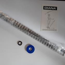 DIANA 5G  Kit renovation RESSORT JOINTS piston et canon