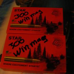 Géco star 300 win mag