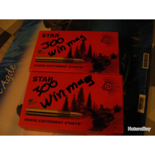 G�co star 300 win mag