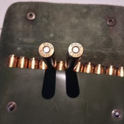 Balles GECO 9.3x62 255 grain 16,5 gr