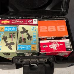 Cartouches calibre 20