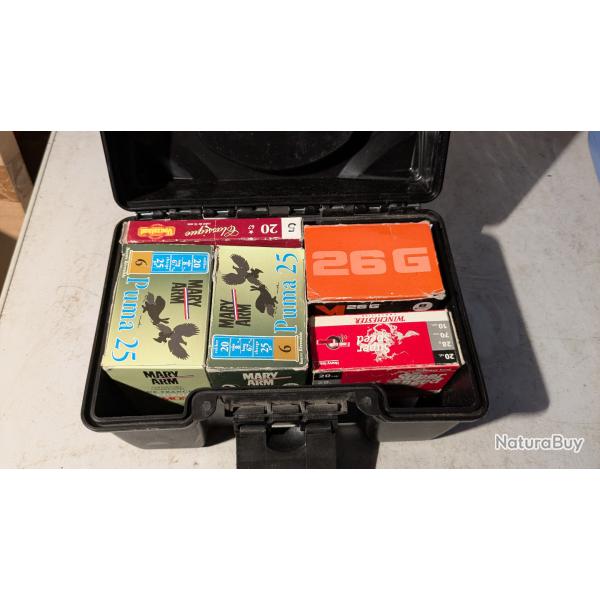 Cartouches calibre 20