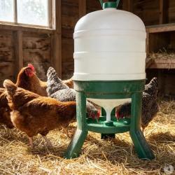 Abreuvoir &agrave; siphon sur pieds 40 Litres Gaun