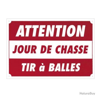 Tout savoir sur l'arc de chasse long bow ou à poulies | FNC