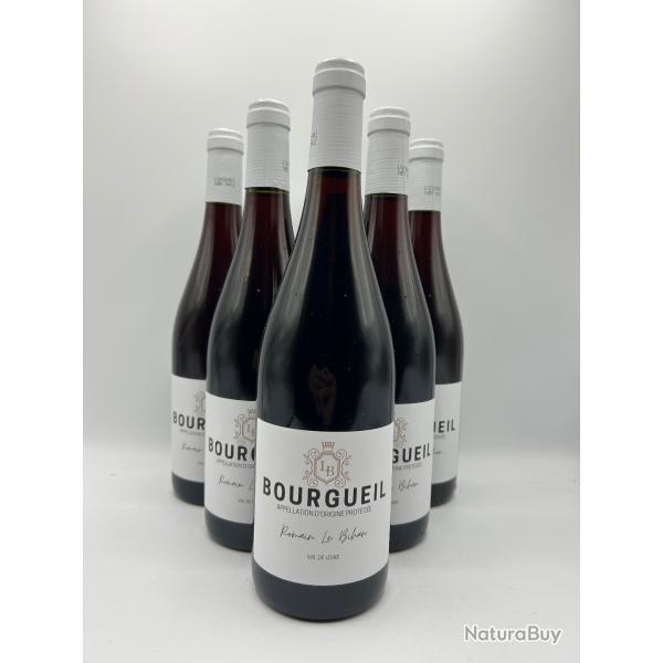 2024 Romain Le Bihan Bourgueil Rouge - 6 Bouteilles