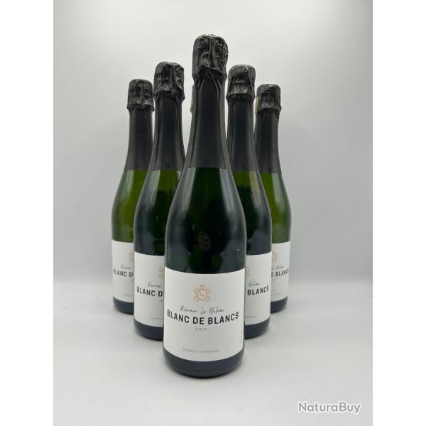 Romain Le Bihan Vin Mousseux Blanc de Blancs Brut - 6 Bouteilles