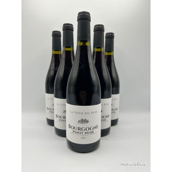 2020 La Tour du Bois Bourgogne Pinot Noir Vin Rouge - 6 Bouteilles