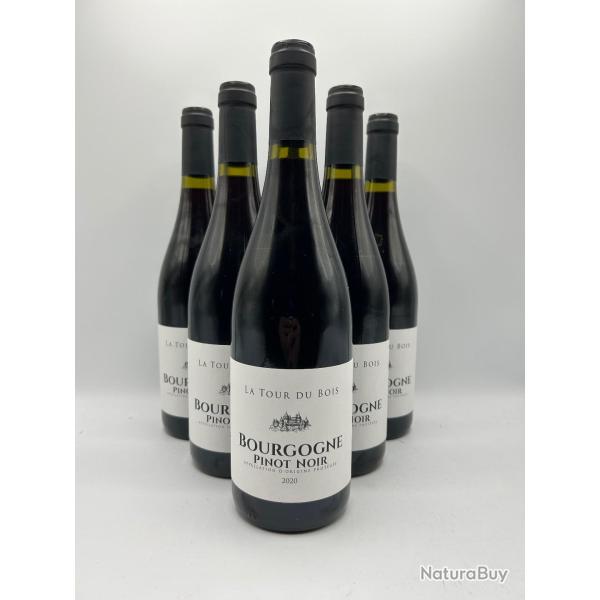 2020 La Tour du Bois Bourgogne Pinot Noir Vin Rouge - 6 Bouteilles