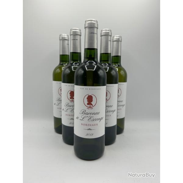 2019 Baronne de L'Esconge Bordeaux Blanc - 6 Bouteilles