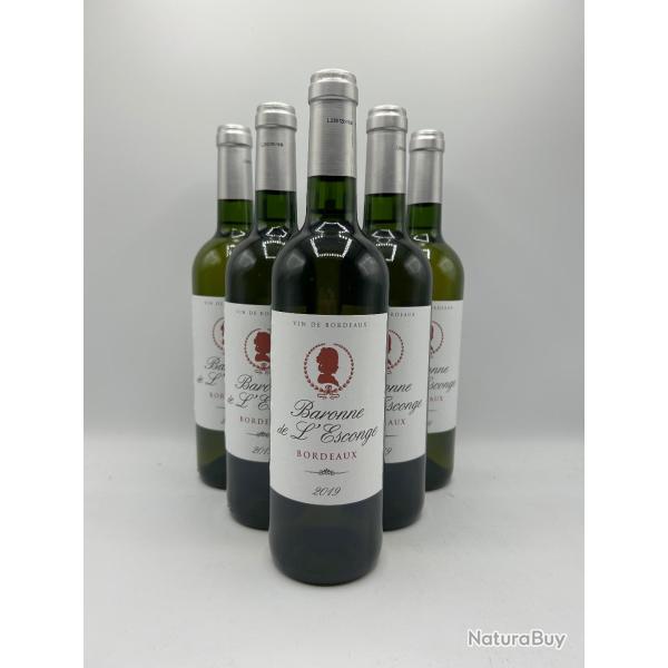 2019 Baronne de L'Esconge Bordeaux Blanc - 6 Bouteilles