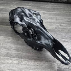 crâne de biche custom black