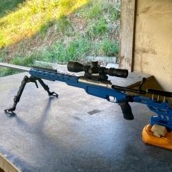 Custom ELR 375 Cheytac