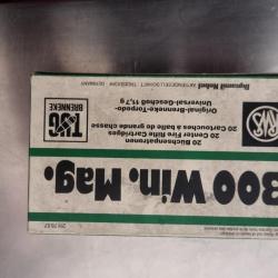 Balle rws 300 TUG BRENNEKE 11,7g