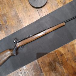 CARABINE A PLOMB DIANA 50