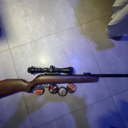 Carabine Gamo Hunter 440 AS + lot de plombs