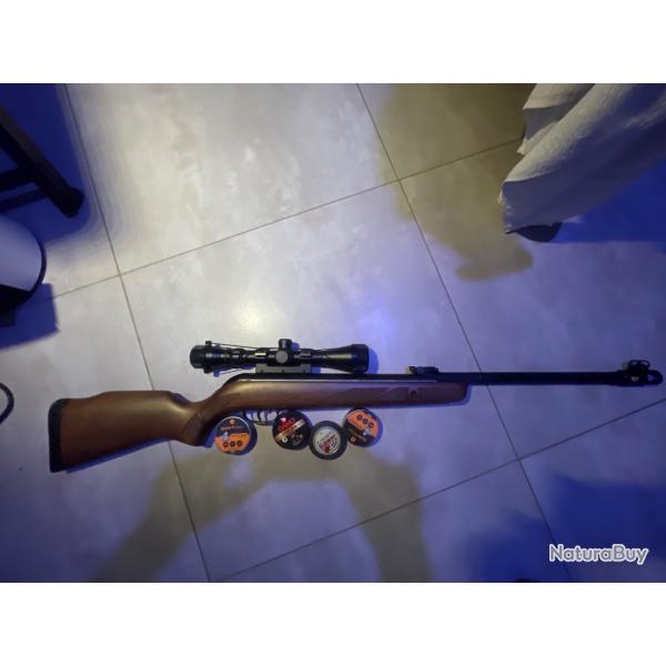 Carabine Gamo Hunter 440 AS + lot de plombs