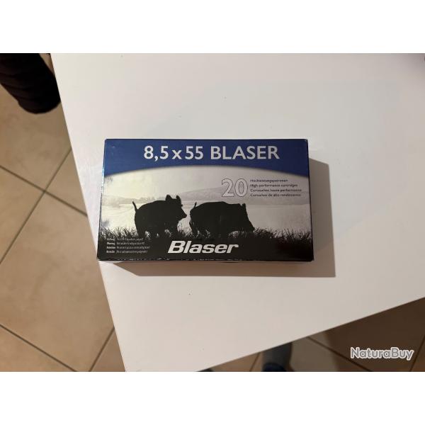 8,5x55 blaser soft point